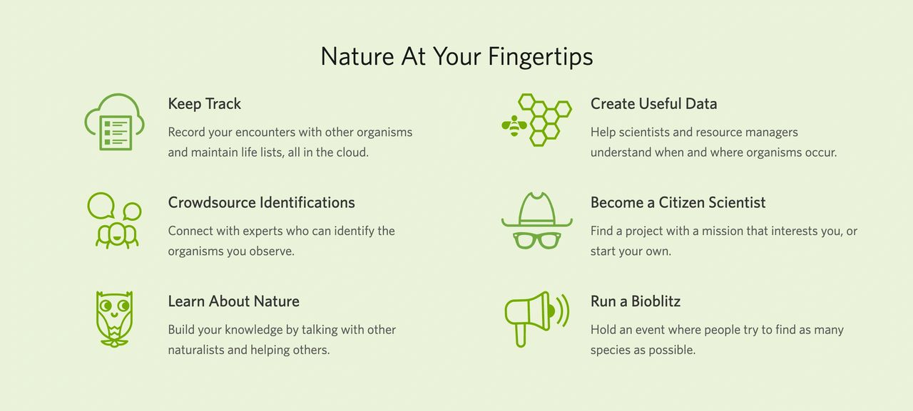 iNaturalist is a joint initiative of the California Academy of Sciences and the National Geographic Society.