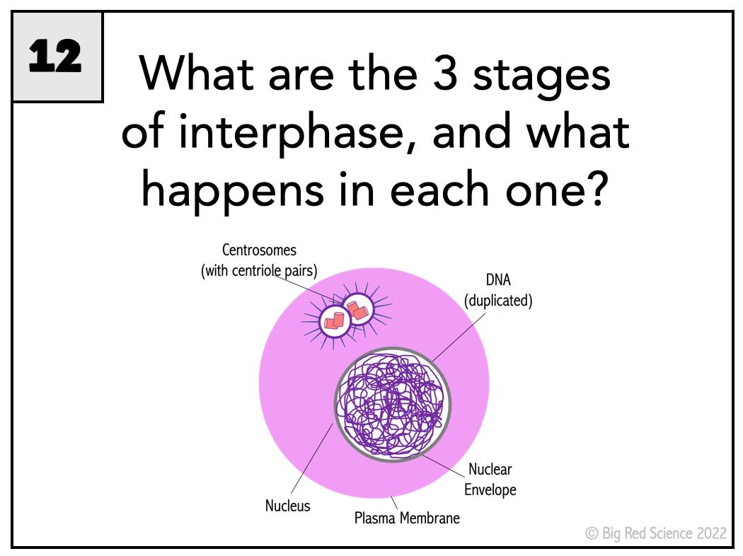 An example of a task card from a set about Cells, Tissues, Organs, and Organ Systems