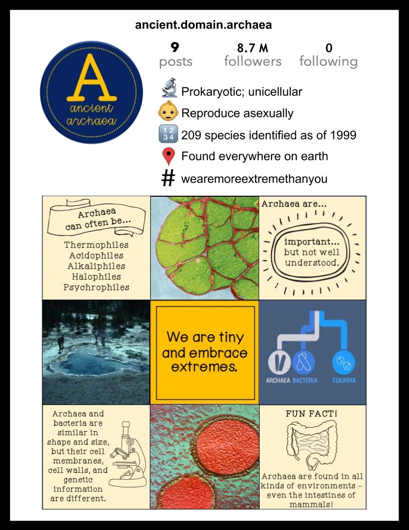 Sample Classification Instagram Project on Domain Archaea