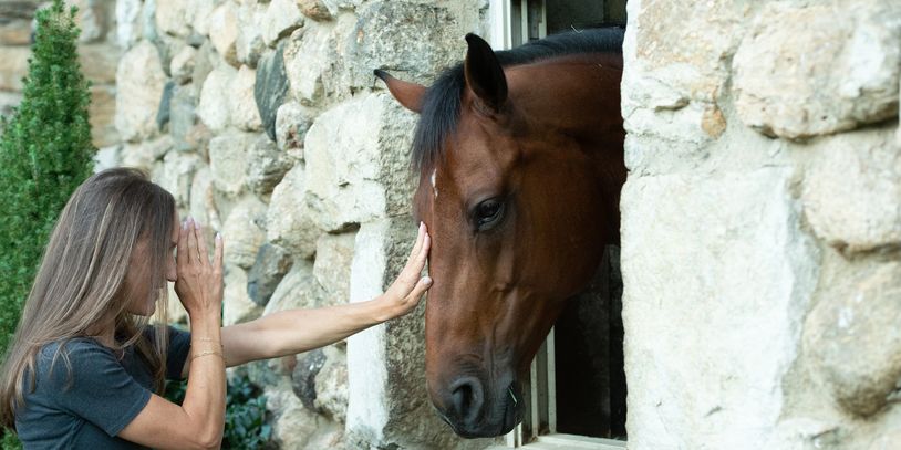 Reiki Your Ride™ is an innovation in energy work, designed for discerning equestrians and their hoof