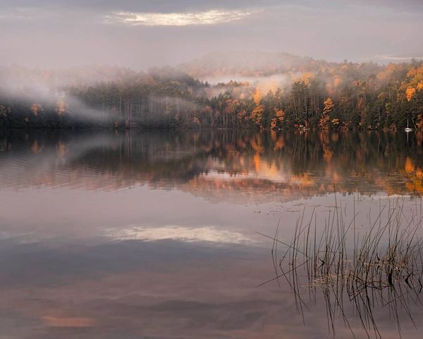 Foggy autumn scene over a calm lake.