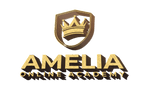 Amelia Online Academy