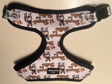 French Bulldogs for sale