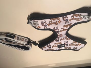 French Bulldog puppies for sale Maryland