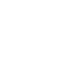 Architectural Openings, Inc.