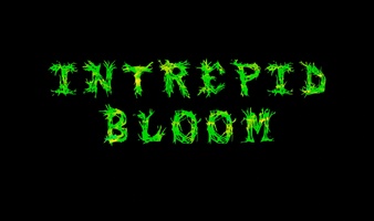 Intrepid Bloom