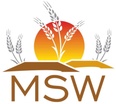 MSW Painting 
