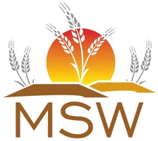 MSW Painting 