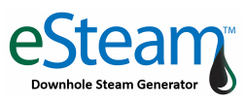  eSteam™ 