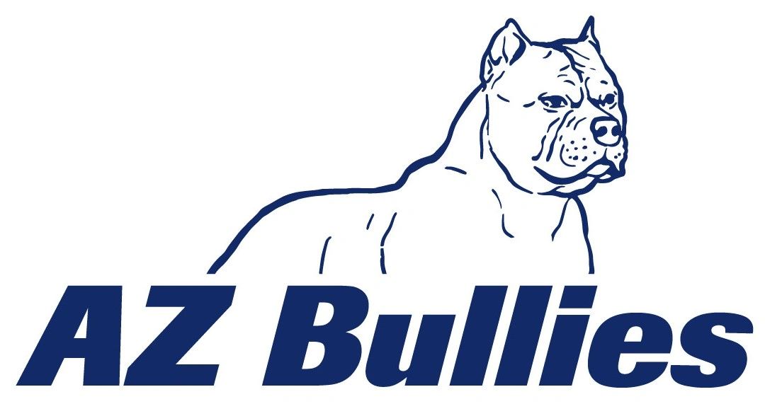 American Bully Dog Breed Complete Guide - A-Z Animals