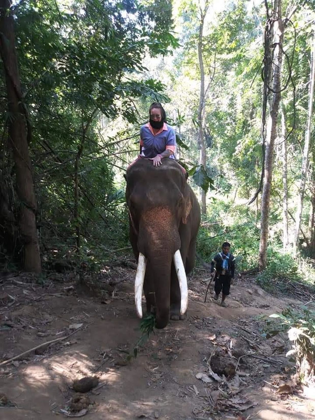 Trekking in the Majestic Asian jungle with this beautiful rescue elephant!!
