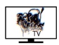 Rap Woodz and Rapwoodz tv