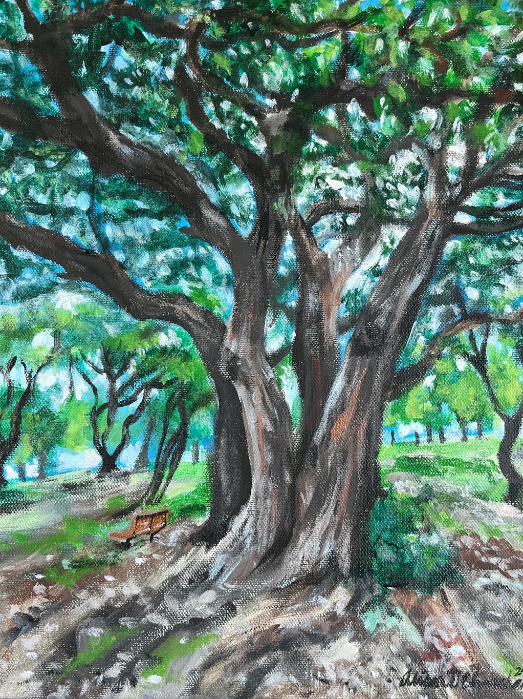 Image of a large oak tree 