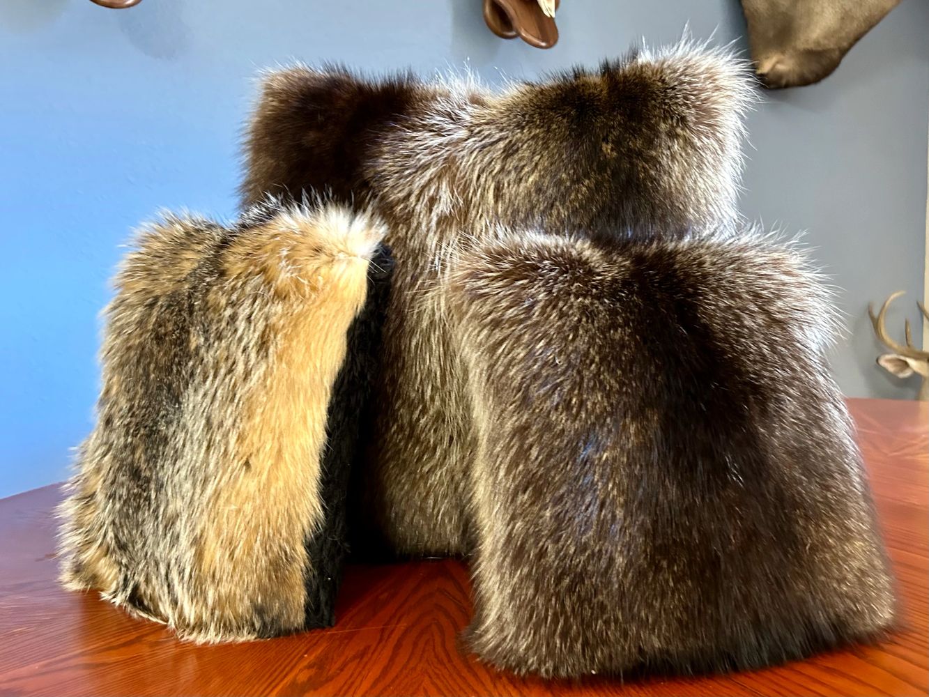 Three fur-covered objects on a wooden table with animal mounts on the wall.