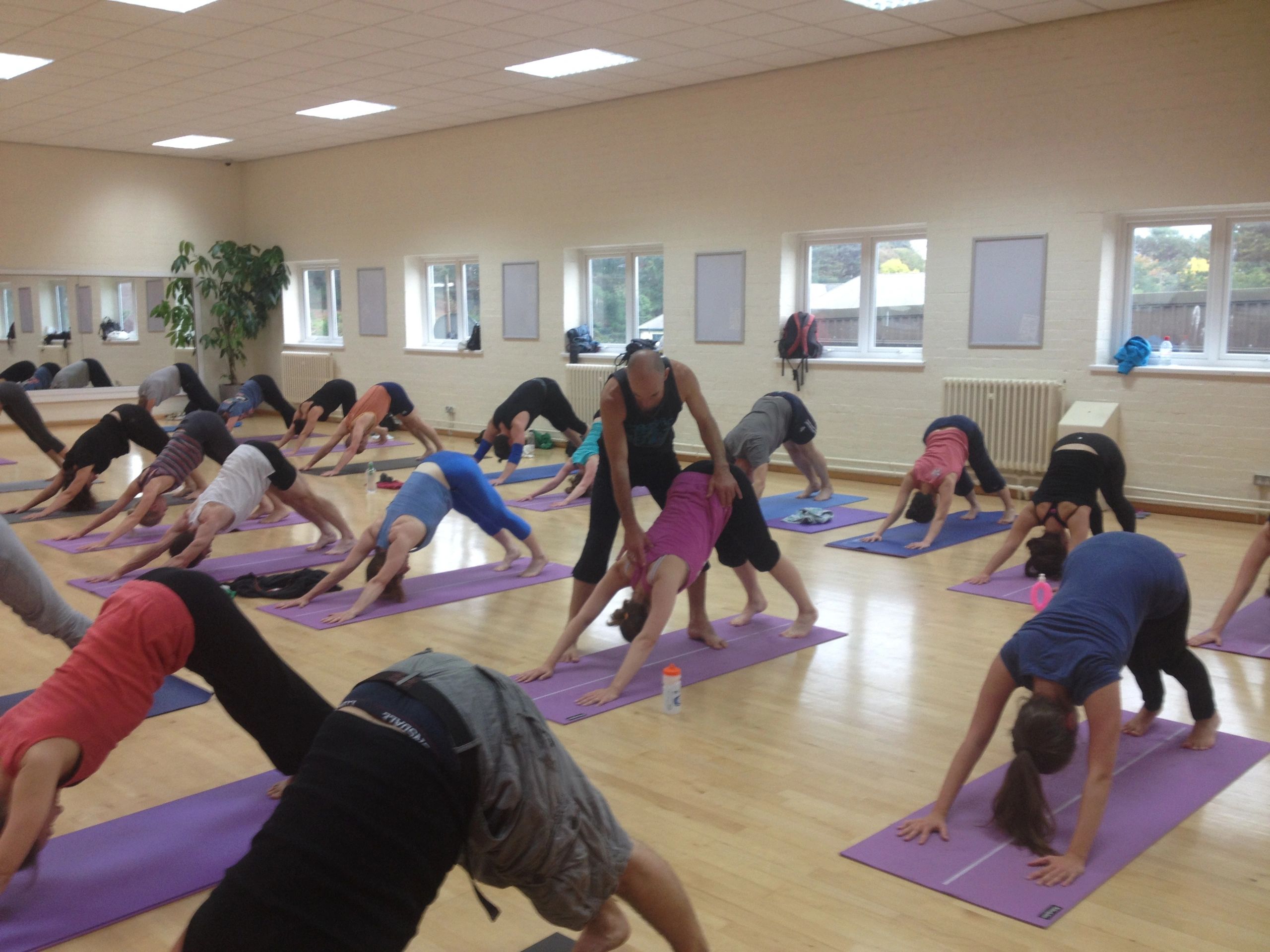 Classes  Adamo School of Yoga