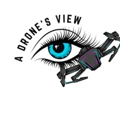 A Drone's View