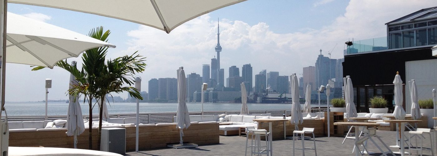 ONTARIO PALM TREES Palm Trees, Palm Trees, Ontario