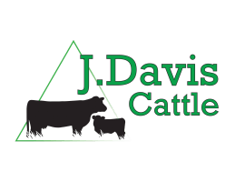 J. Davis Cattle