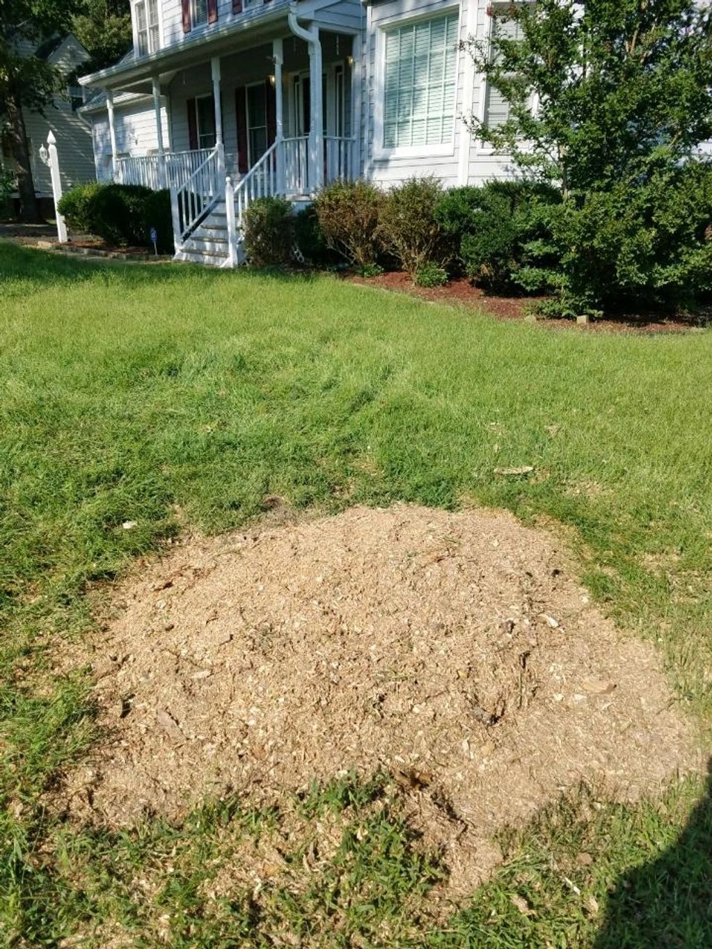 Stump grinding services.