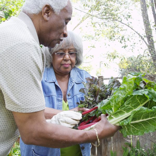 Older adult man and woman gardening together