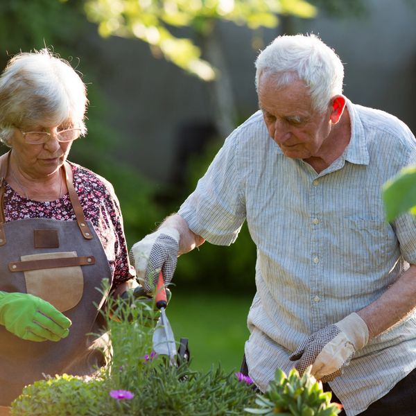 Elder man and woman gardening together