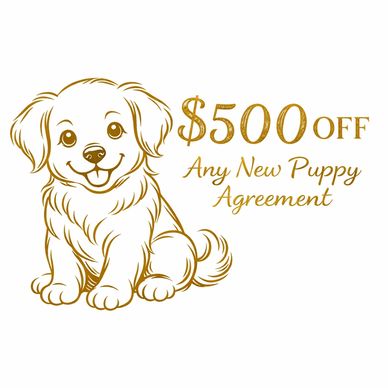 Illustration of a happy puppy with $500 off any new puppy agreement.