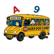 AOK9 DOG CAMP