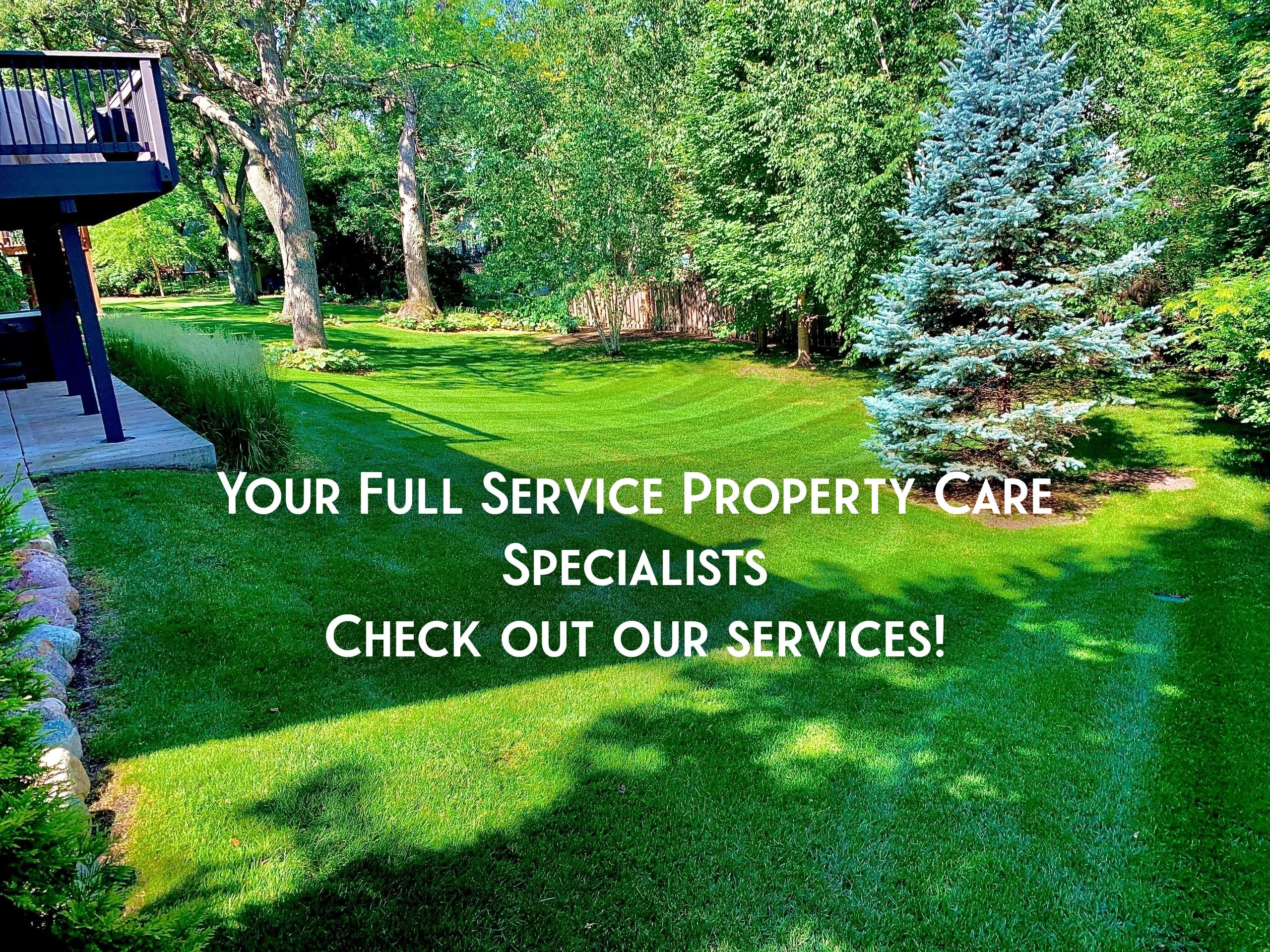 Get the Perfect Lawn with Driftwood Lawn and Snow