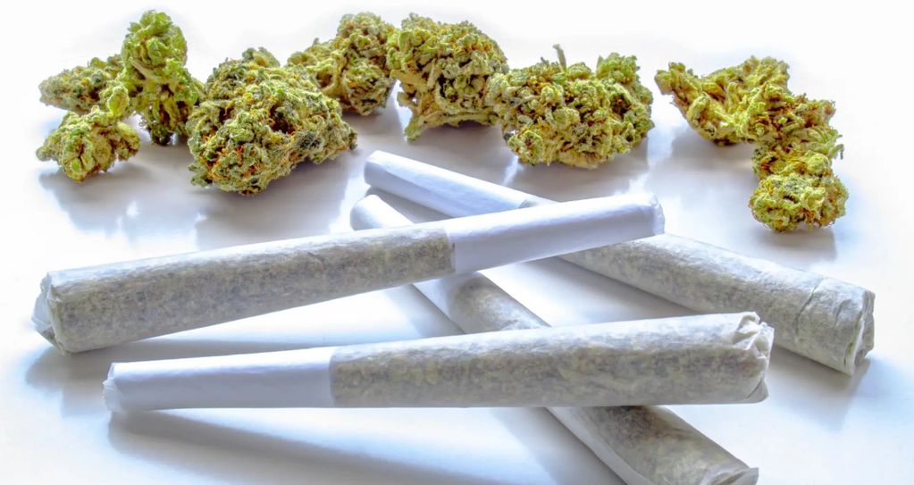 Rolled cannabis joints with loose marijuana buds on a white surface.