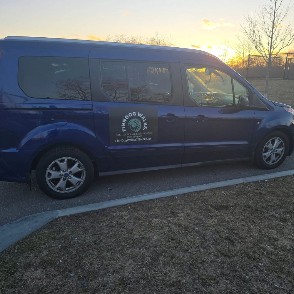 Blue van with FinnDog Walks logo parked near sunset.