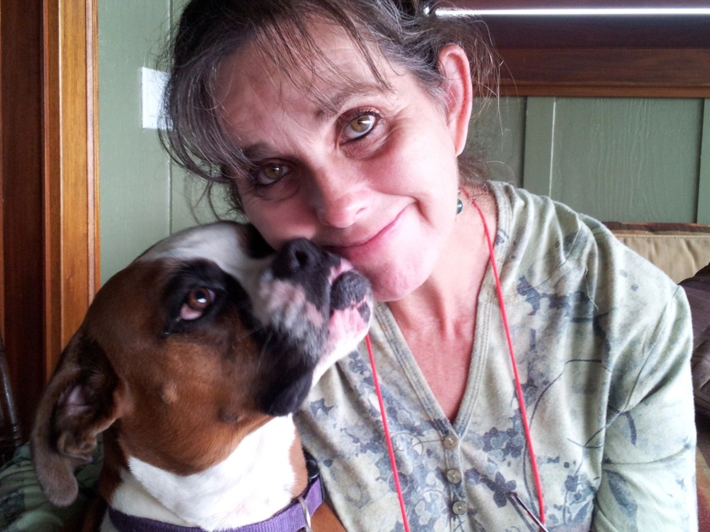 In Home Dog Training Dog Training Classes Kaneohe Hawaii