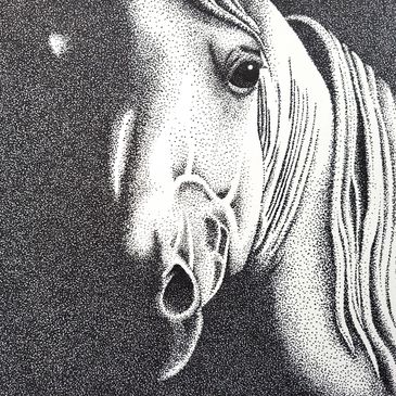 From the Shadow, Ink Pointillism, Copyright Carolyn Moir