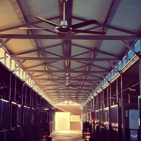 Sunlight illuminates a spacious horse stable with ceiling fans and rows of stalls.