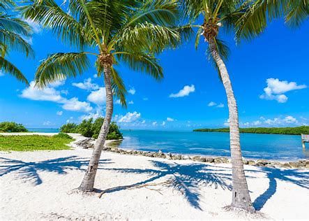 Florida Beach