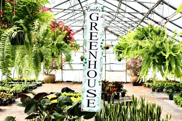 Greenhouse Garden Center & Nursery, Kernersville Triad NC