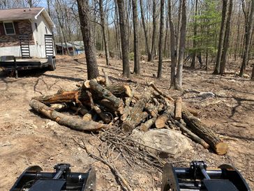Pile of dead logs