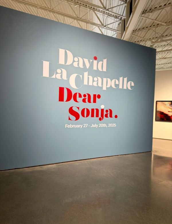 David LaChapelle's Dear Sonya at NC Art Museum Winston-Salem