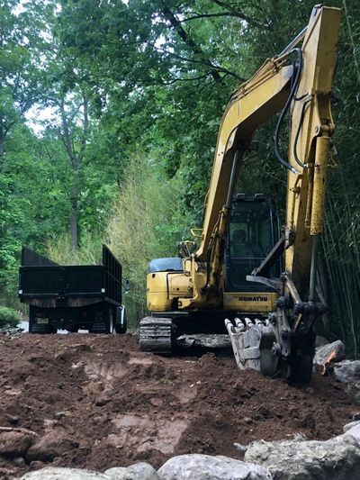 Land Clearing Livingston