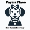 Paya's Place