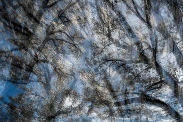 Double exposure, slow shutter  studies of Spring Trees in Santa Fe, NM.