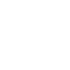 d u a l f o c u s