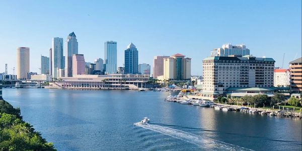 Find the Tampa Bay Chapter monthly meeting details.