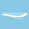 Marmooncoons Maine Coons