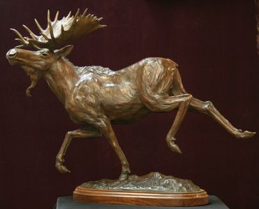 moose sculpture, moose bronze, bronze bull moose sculpture