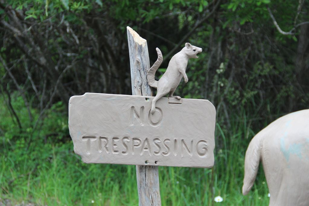 bronze squirrel, whitetail deer bronze, life size bronze deer, life size whitetail sculpture