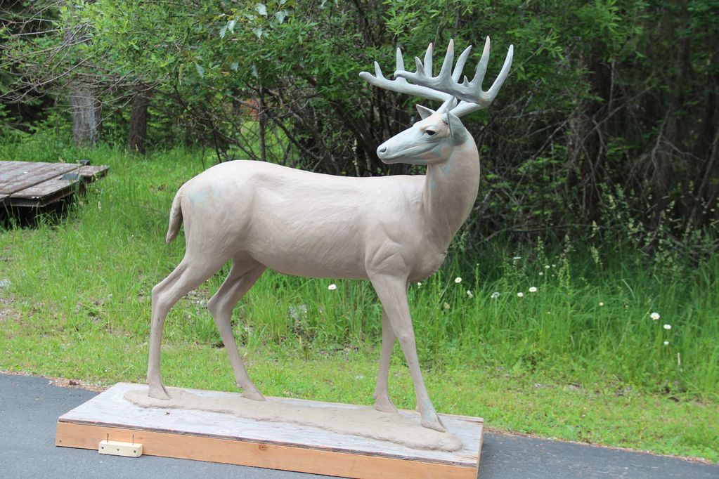 whitetail deer, whitetail bronze sculpture, life size whitetail bronze