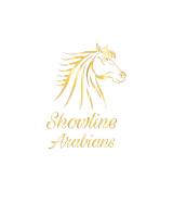 showlinearabians.club