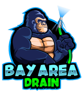 Bay Area Drain