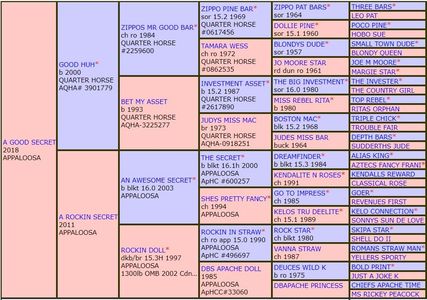 Lily's pedigree