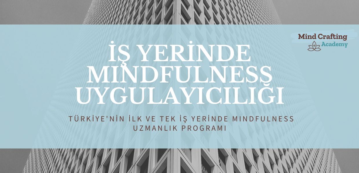 Kurumlarda mindfulness, işyerinde mindfulness, mindfulness eğitmenliği